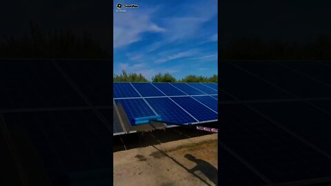 Solar Plats Wash #ytshorts