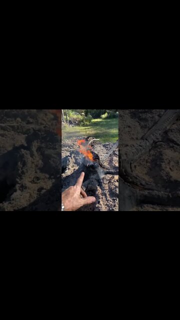 How to burn a stump out quick and fast - super fast technique