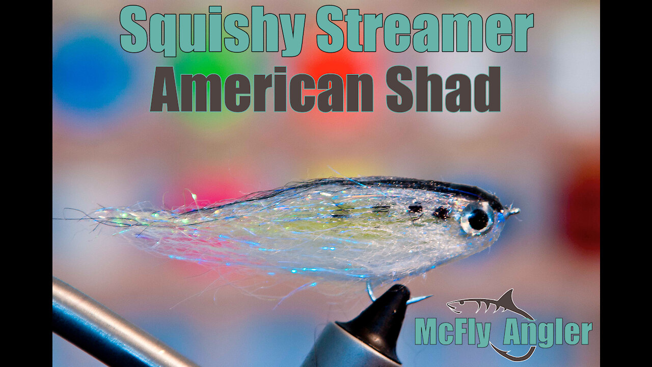 Fat Head Squishy Streamer - American Shad - Fly Tying Video