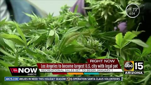 L.A. to become largest city to legalize pot