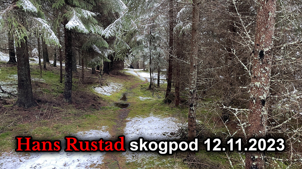 Skogpod 12. november 2023