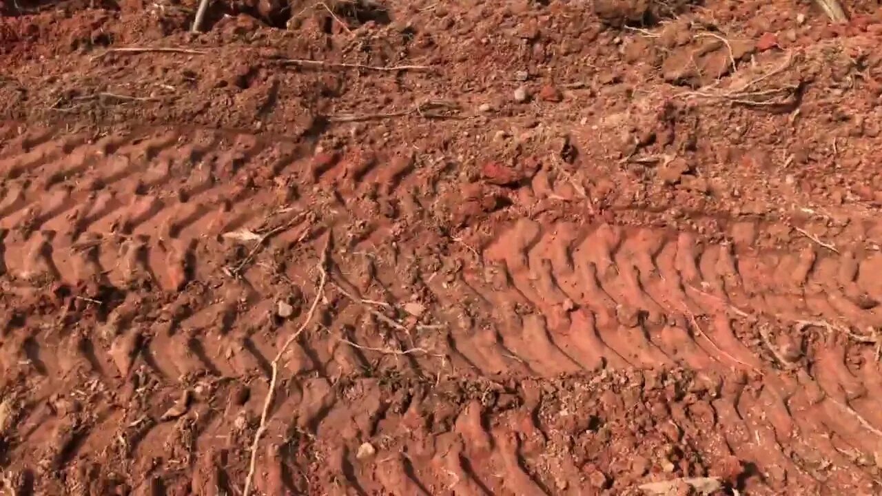 Look at this janky bund of clay #earthworks
