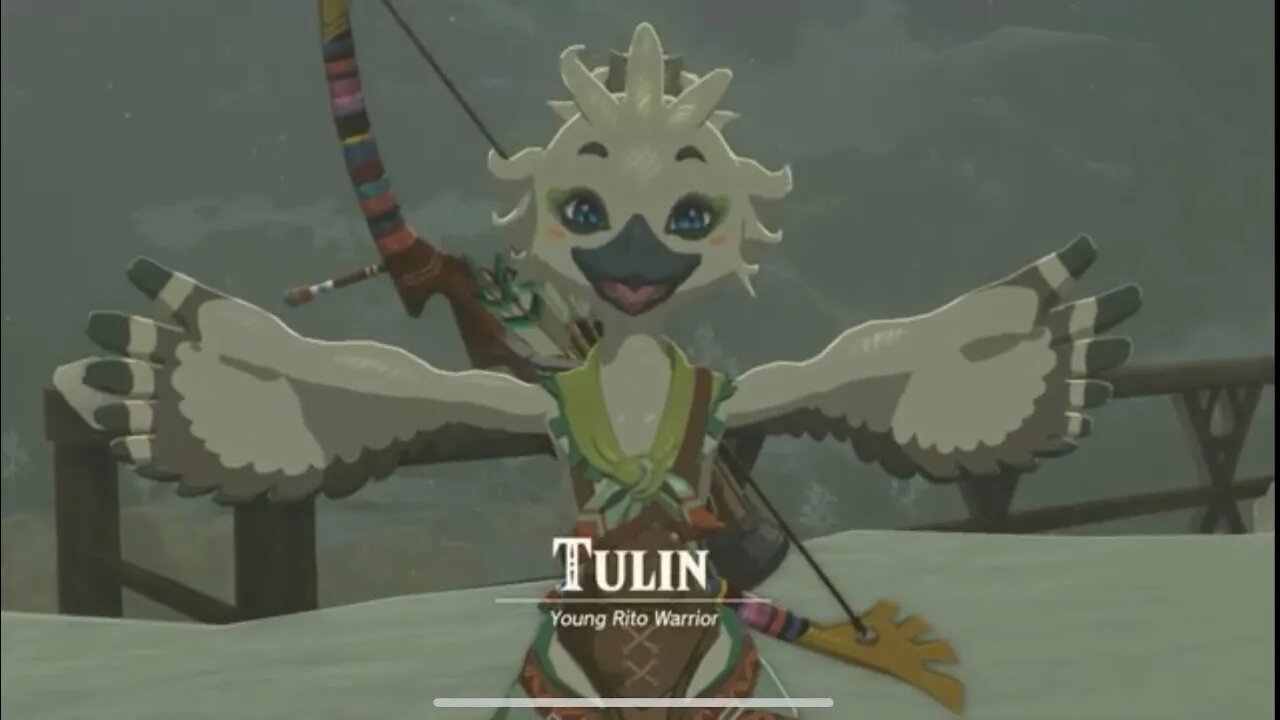 TULIN TIME! LEGEND OF ZELDA TEARS OF THE KINGDOM PART 3