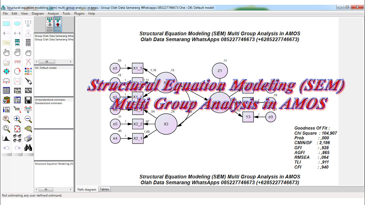 Structural Equation Modeling (SEM) Multi Group Analysis in AMOS