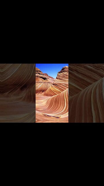 #shorts #youtubeshorts #facts #didyouknow #viral #funfacts #doyouknow #dailyfacts #shortsfeed #daily