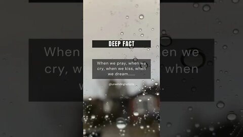 Deep facts #youtubeshorts #lovers #positivevibes #beautifullife #inspiration #fyp #unwindingnotions