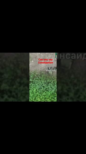 The Armed Forces of Ukraine is successfully treating orcs from constipation