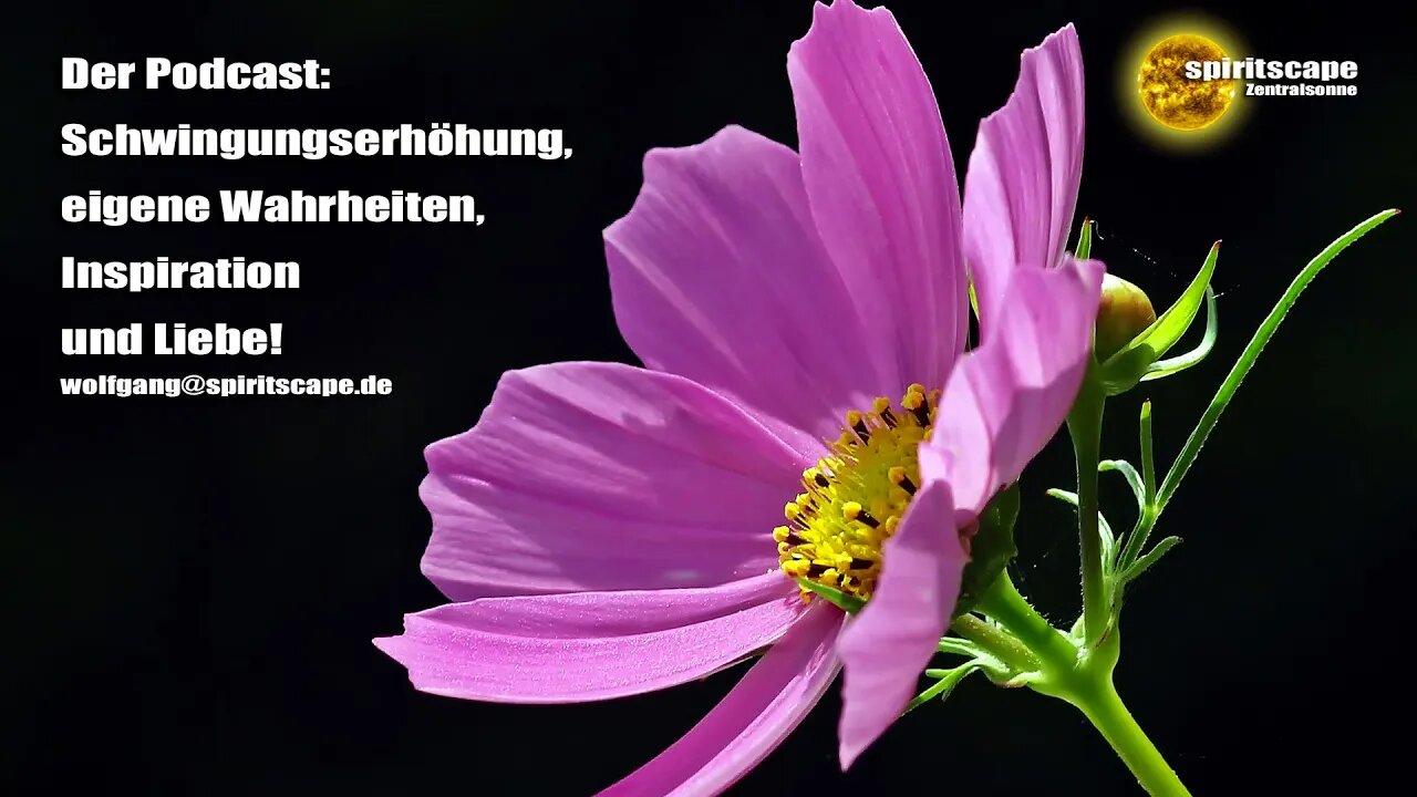 Der Frieden in euch selbst