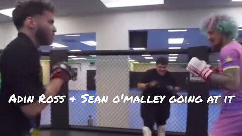 Adin Ross & Sean O'Malley going at it during a sparring session