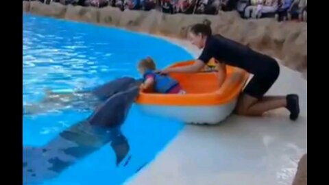 Cute Small girl kisses dolphin