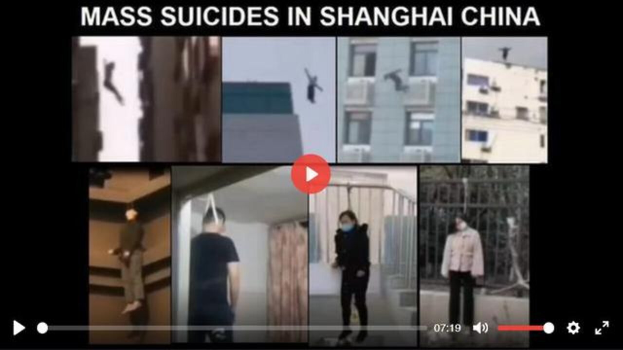 CHAOS IN SHANGHAI-LOOTING, PROTESTS, SUICIDES, ARRESTS, STARVATION, PETS KILLED, LOCKDOWNS AND MORE¡