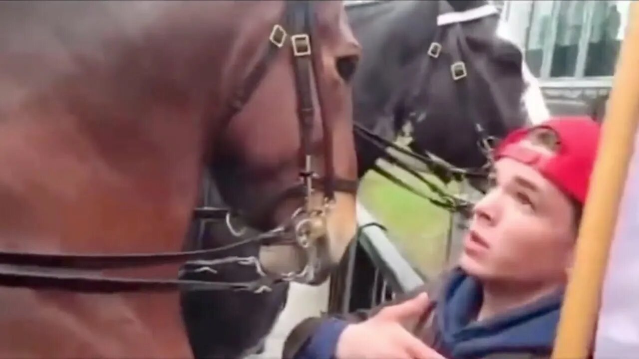 Nic Alexander Bullied By Mounted Cops