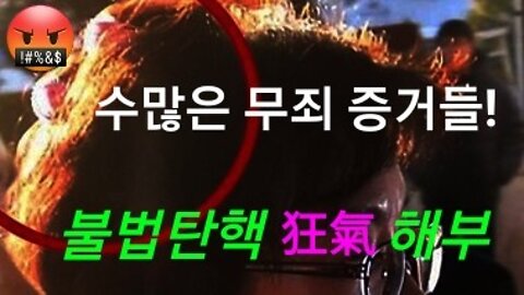 무수한 무죄 증거들 -- 박근혜 대통령 불법탄핵 무효!