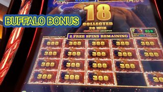 BUFFALO BONUS * SPIRIT MOUNTAIN CASINO