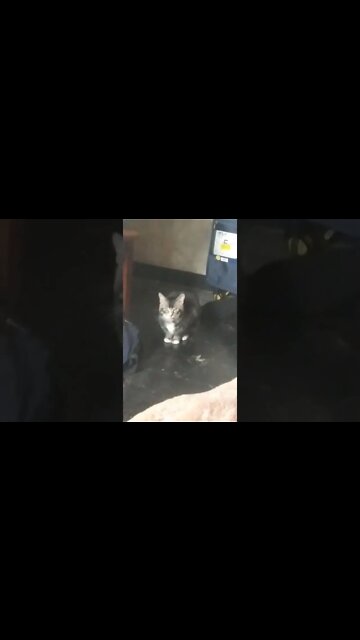 he keeps complaining until I start recording