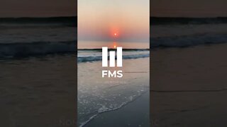 FMS - Copyright free full song in bio #EDM #009 #shorts