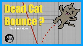 Is This a Dead Cat Bounce? - 0-DTE Final Hour