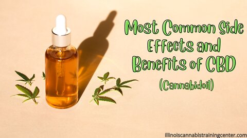 Most Common Side Effects and Benefits of CBD