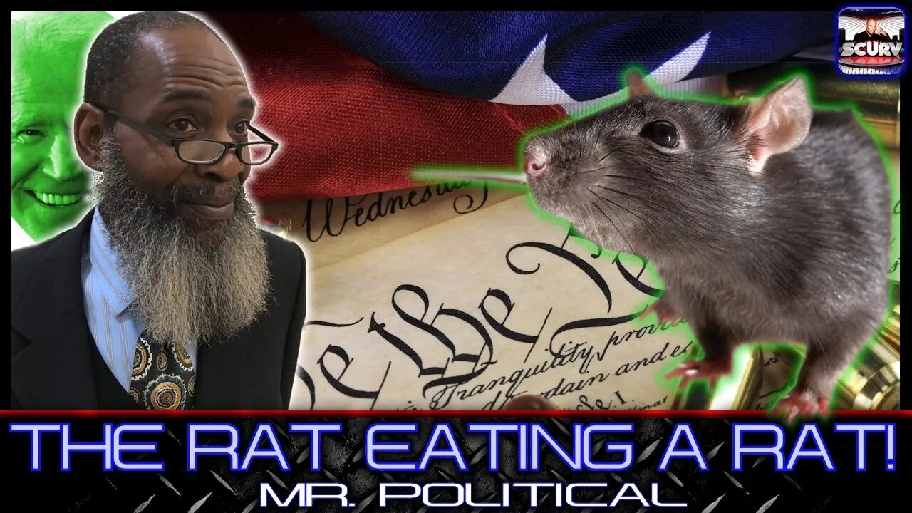 THE RAT EATING A RAT! | MR. POLITICAL