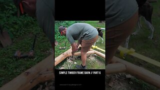 Simple Timber Frame Barn Build // Part 6 #shorts