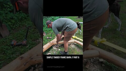 Simple Timber Frame Barn Build // Part 6 #shorts