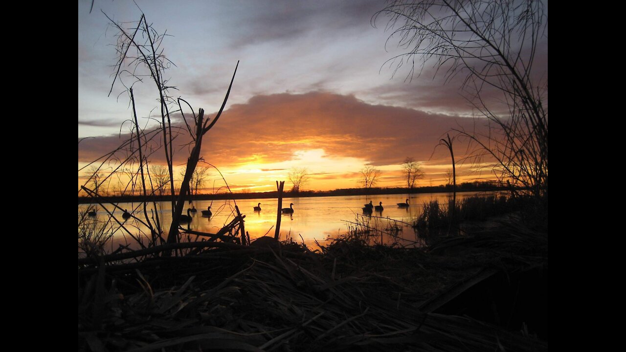 You Might Be A Duck Man - Duck Hunting Music Video