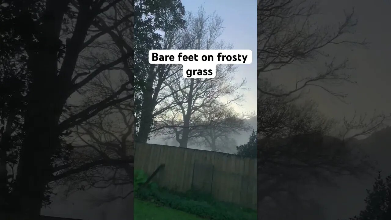 Grounding on Frosty Grass. Early Winter Morning Waikato NZ #newzealand #grounding #circadianrhythm