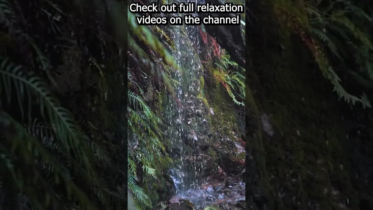 Soothing relaxation Sound of waterfall --- (calm your mind and relax your soul) #relaxation #shorts