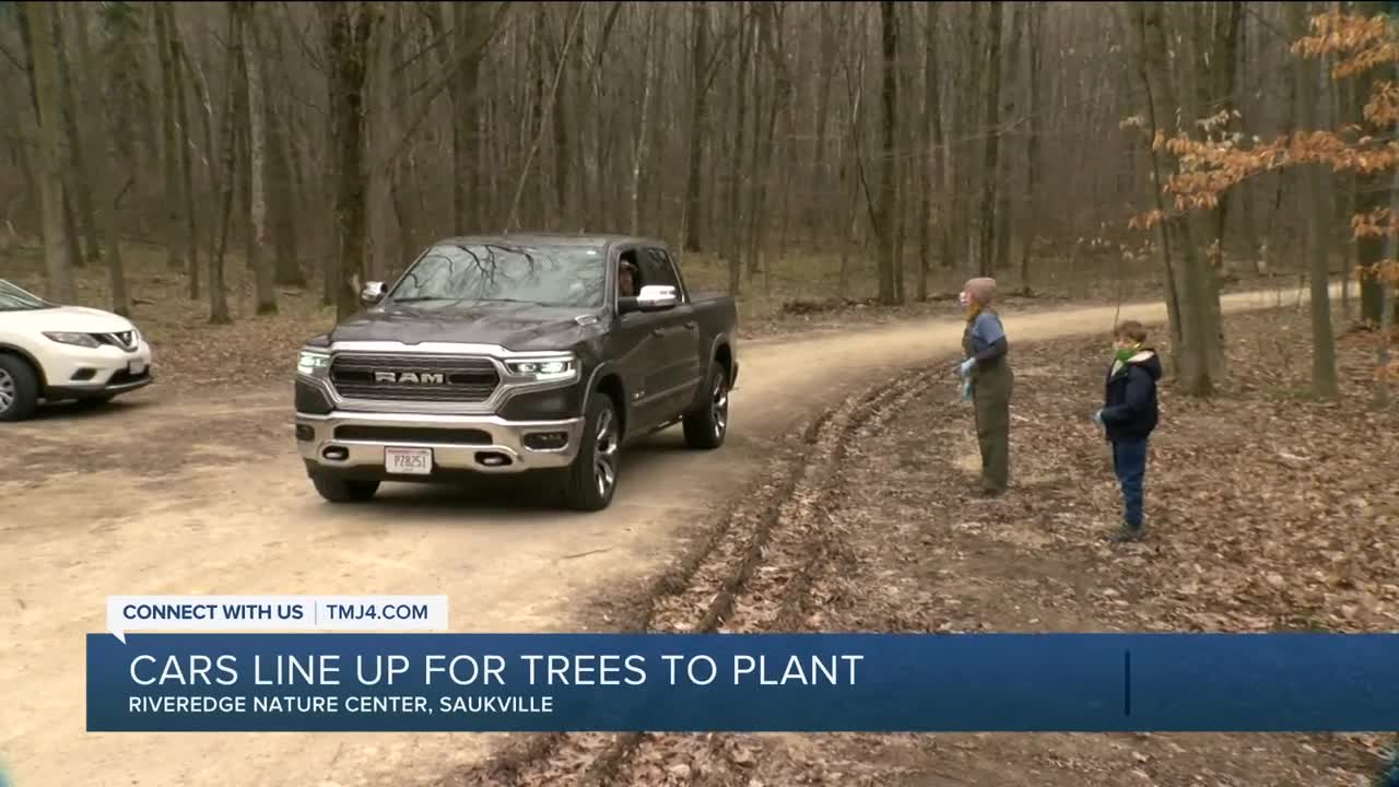 Cars line up for trees to plant on Arbor Day