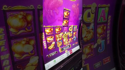 MAX BET BONUS FEATURE IN VEGAS!