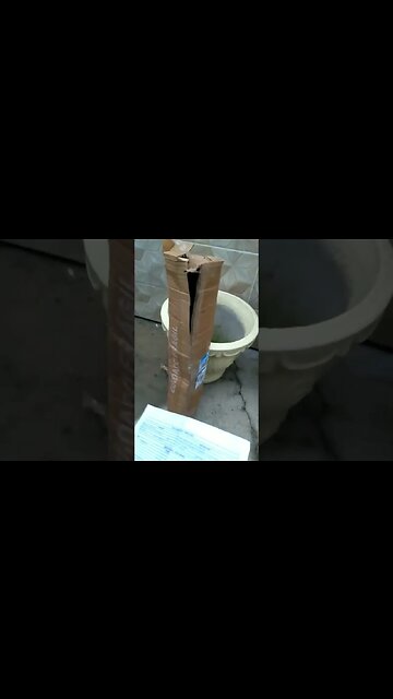 champedaque enviada pelo horto para o cliente e amigo Marcelo