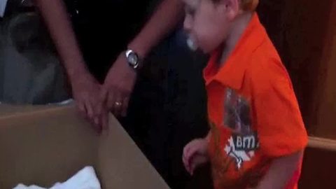 A Tot Boy Doesn’t Want A New Baby Sister As His Birthday Present