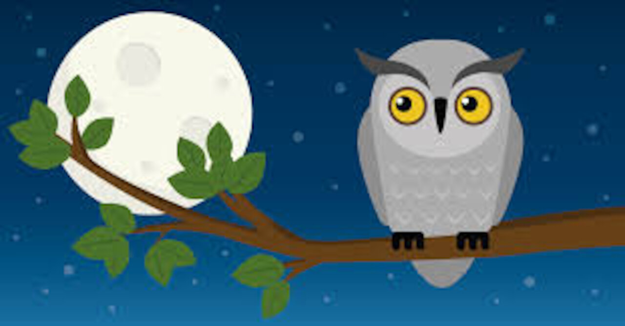 Night Owls - May 6, 2021 - Part 1 and 2