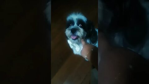 31 de dezembro de 2022