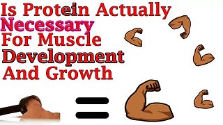 What Is Protein, and is it Necessary for Muscle Growth? (Part 1)