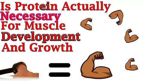 What Is Protein, and is it Necessary for Muscle Growth? (Part 1)