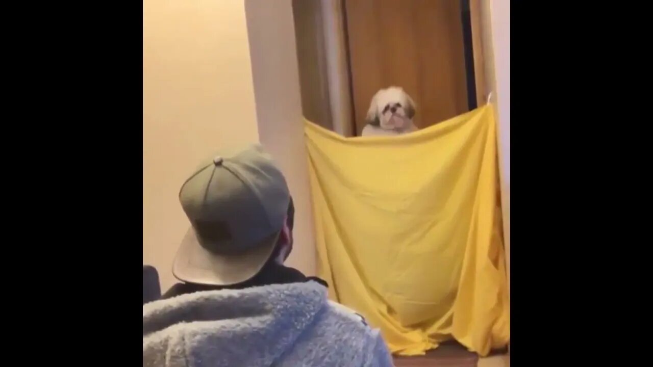 Magic Act