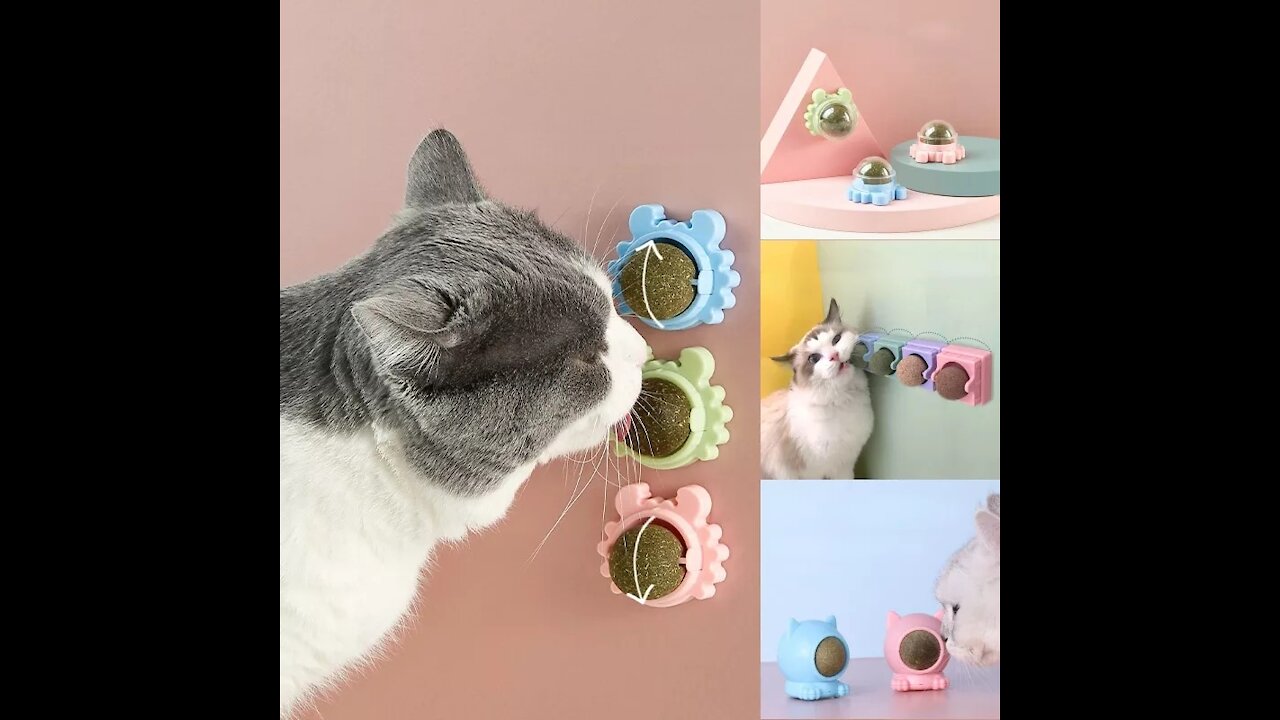 360° Rotation Natural Catnip Pet Roducts Cat Toys Chewing Toy Accessories