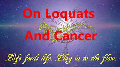 On Loquats And Cancer