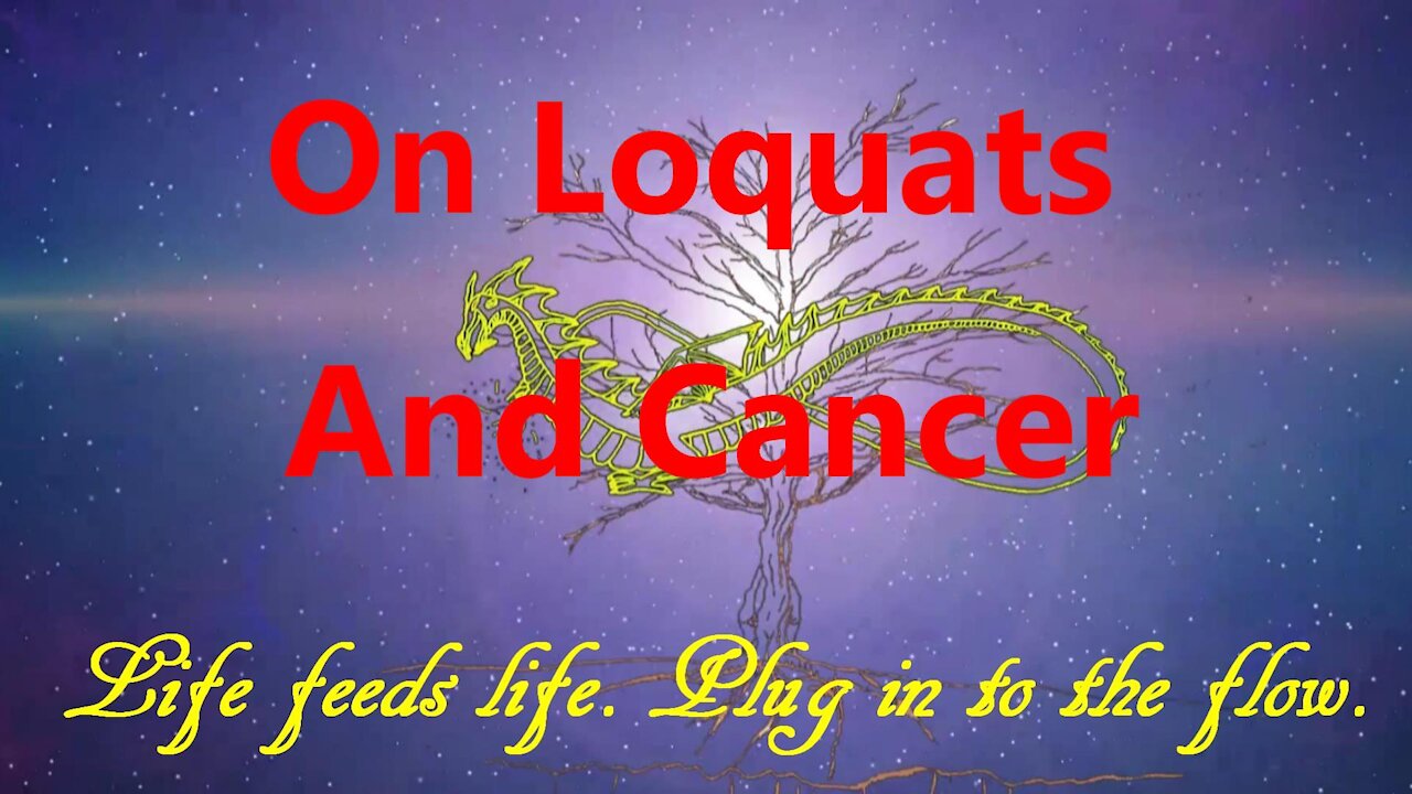 On Loquats And Cancer