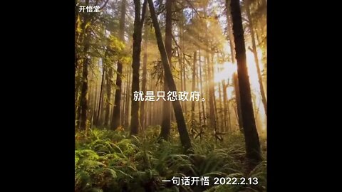一句话开悟20220213