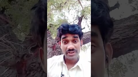 sariya kariya lele aih #shorts