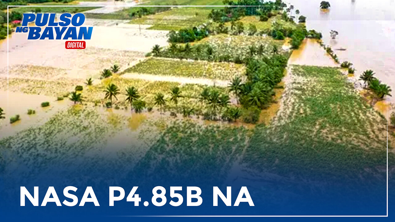 Pinsala ng Bagyong Kristine sa sektor ng agrikultura, nasa P4.85B na