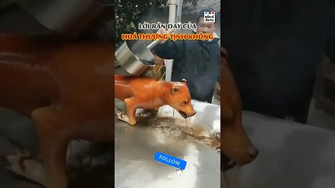 Unbelievable that people are eating #foryou #viral #trending #ytshorts #life #animals #foood