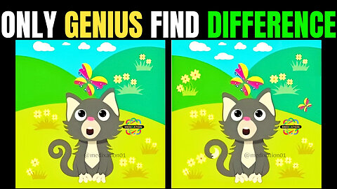 Spot The Difference : Can You Find All[ Find The Difference #23]