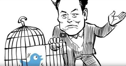 Mini Live Du 26 Avril