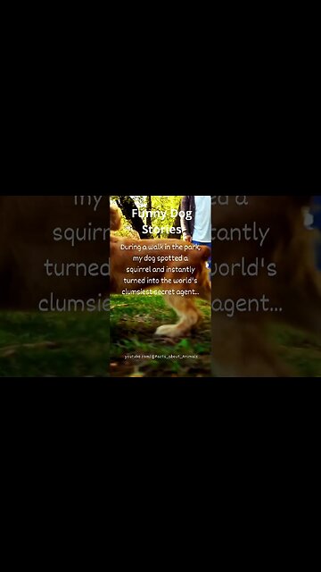 Hilarious Dog Moments: Laughter Guaranteed! 14