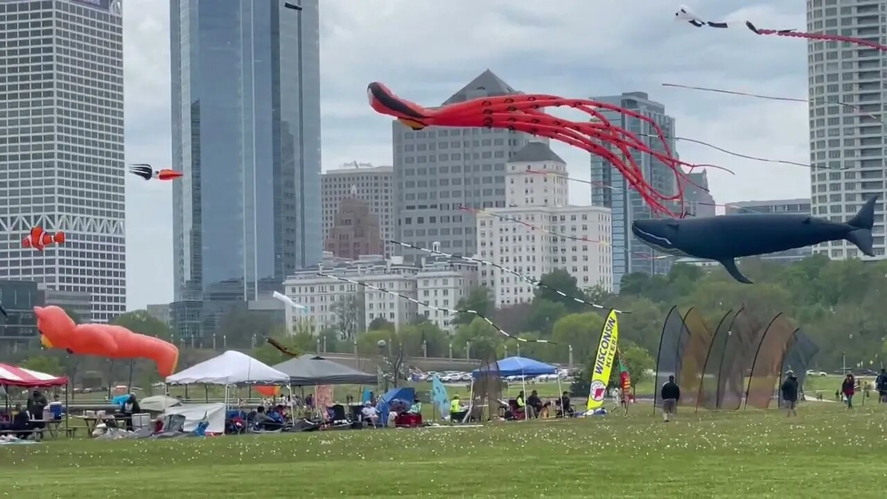 Giant Kites