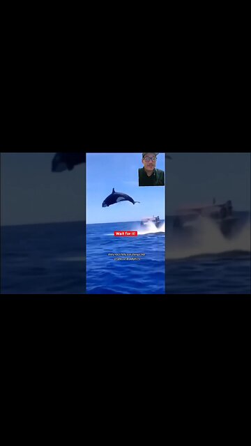 Were lucky Orcas don't see us as food