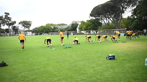 SOUTH AFRICA - Cape Town - Sevens Team media day (video) (nCM)